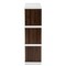 Baxton Studio Rune Two-Tone White and Walnut Brown Finished 2-Drawer Bookcase 163-10647 - alternate 2